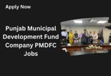 Punjab Municipal Development Fund Company PMDFC Jobs